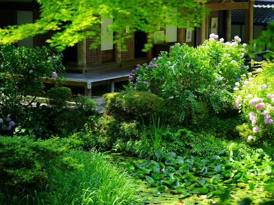 Japan_Nara_Gansen-temple_PIXTA_62986713