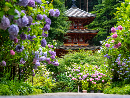 Japan_Nara_Gansen-temple_PIXTA_67553209