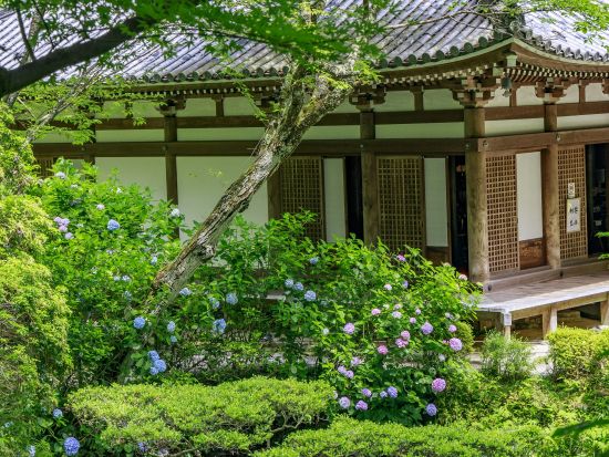 奈良駅発 日帰りバスツアー 山深い里に建つ浄瑠璃寺・岩船寺をめぐる旅 英語・中国語対応音声ガイドあり＜約3時間／午後発／ガイド付／JR奈良駅・近鉄奈良駅発＞