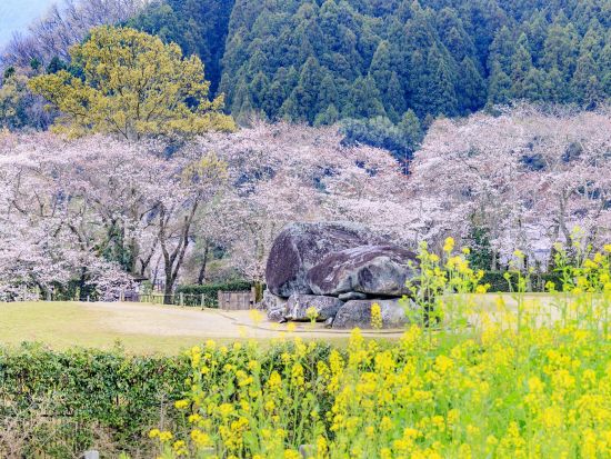 奈良駅発 日帰りバスツアー 大神神社＋キトラ古墳「四神の館」＋石舞台＋飛鳥寺＋橘寺  英語・中国語対応音声ガイドあり＜昼食付／JR奈良駅・近鉄奈良駅発＞