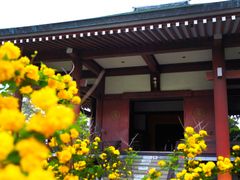 Japan_Nara_Chugu-ji_pixta_32018594