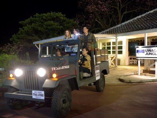 ナイトトレッキング　何が起こるか分からない夜のジャングルへ！おきなわワールド内にあるウワーガー（宇和川）ジャングルを探検　レンタルウエア付き！＜南城市＞