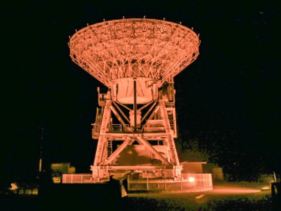 ホタルナイトツアー プロフォトグラファーが厳選したヤエヤマホタルの名所へ！当日17時まで予約OK＜3～5月／石垣島＞