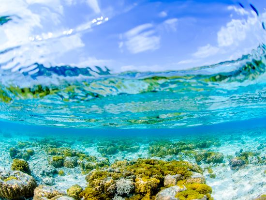 Japan_Okinawa_Kerama Islands_Zamami Island_shutterstock_216036109