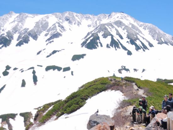 【2026】「立山の雪を知る」室堂平雪上散策ガイドツアー 立山登山ガイドが立山黒部アルペンルートをご案内　雪の秘密を大研究＜4月18日～26日／ホテル立山集合＞