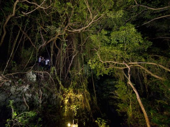 ナイトトレッキング　何が起こるか分からない夜のジャングルへ！おきなわワールド内にあるウワーガー（宇和川）ジャングルを探検　レンタルウエア付き！＜南城市＞