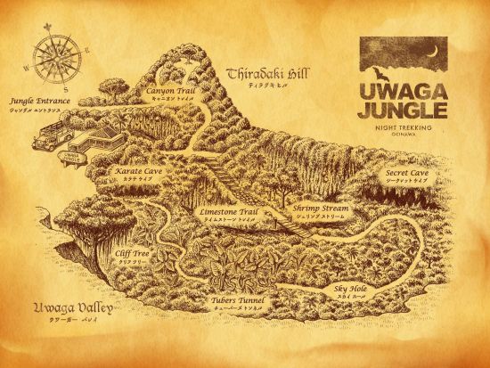 ナイトトレッキング　何が起こるか分からない夜のジャングルへ！おきなわワールド内にあるウワーガー（宇和川）ジャングルを探検　レンタルウエア付き！＜南城市＞