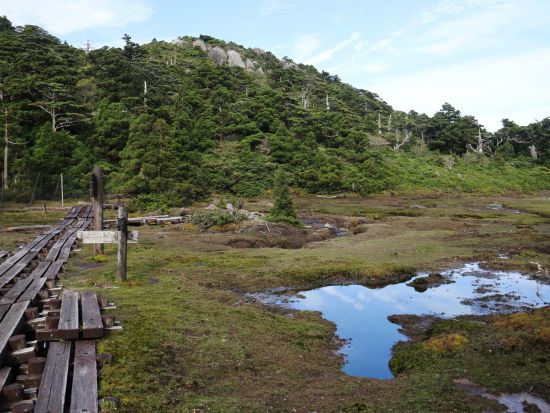 黒味岳トレッキングツアー 屋久島公認ガイドの真津さんがご案内！屋久島の固有植物や山頂パノラマビューも楽しめるコース byネイチャーガイドオフィスまなつ