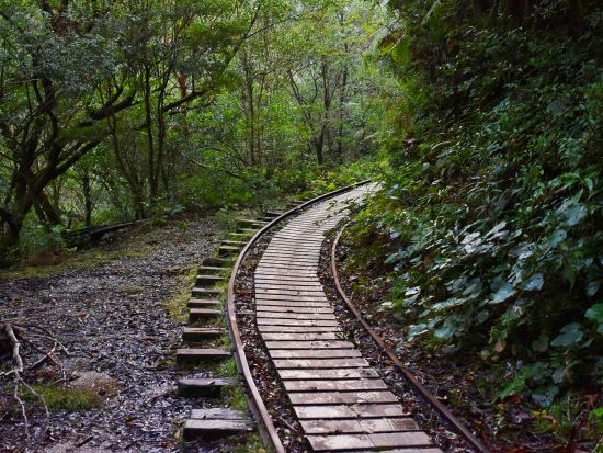 縄文杉トレッキング1泊2日キャンプツアー： 屋久島町公認ベテランガイドまなつさんが、ゆっくり丁寧に2日を掛けてご案内する極上のツアーです。