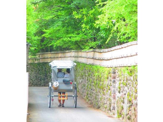 えびす屋湯布院　石垣の道 (2)