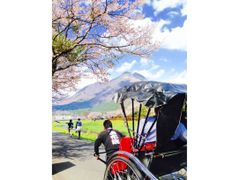 湯布院 春 タテ