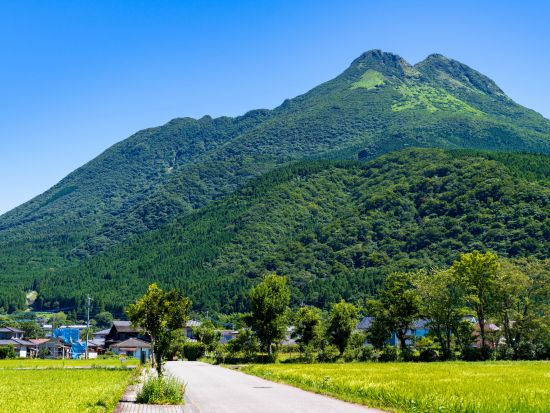 人力車観光 由布院駅～金鱗湖の観光名所をご案内！旅程に合わせて選べる3コース＜ガイド付／湯布院＞by えびす屋 湯布院店