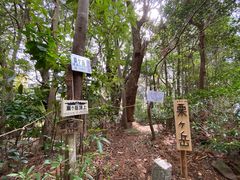 image0 (1)