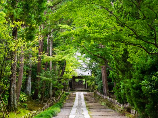 Japan_Kanagawa_Kamakura_寿福寺_pixta_40791690_XL