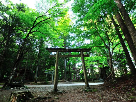 世界遺産熊野古道日帰りトレッキング 中辺路ハイライト7.6km 発心門王子～熊野本宮大社＜現地集合／語り部ガイド付き＞ by 熊野トラベル