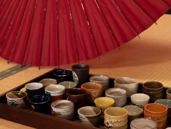 日本酒利き酒体験飲んで学べる 京都の日本酒を中心に3～6種類試飲可能＜30分～45分／京都タワーからアクセス良好＞ 