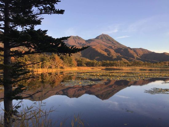 E86E7BF1-EF7F-4F54-815E-62ED43DBDCC8