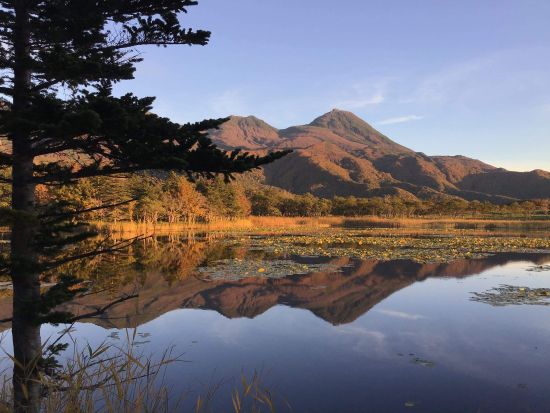 【空席があれば前日20時まで予約可】知床＆清里1日満喫ツアー 知床五湖散策+神の子池+プユニ岬など充実の人気観光地＜4～11月／JR知床斜里駅発／斜里町＞