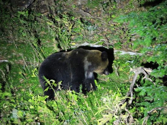 C7E4E0EE-2527-4942-9DCB-6837FC9D957B