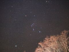 61900202-C87B-4F06-B0B6-0F508FC81194