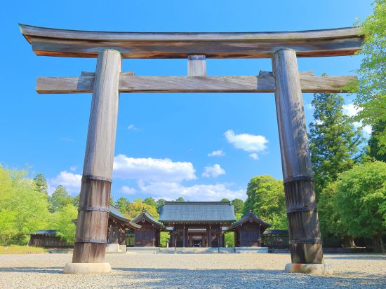 貸切観光タクシー 金峰山寺・吉野神宮・吉水神社をめぐる吉野山コース＜6時間／奈良市内発＞by 服部タクシー