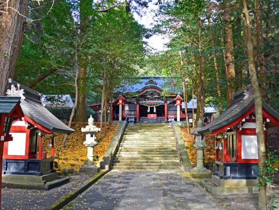 霧島市内発着貸切観光タクシー　御朱印集めにおすすめ！九州随一のパワースポット　霧島六社権現めぐり＜6～6.5時間＞by 旭交通タクシー