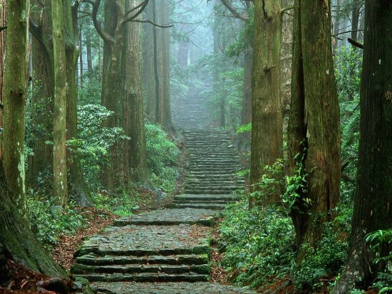 世界遺産熊野古道日帰りトレッキング 中辺路 大門坂～那智の滝～那智山3kmコース＜語り部ガイド付き／大門坂集合＞ by 熊野トラベル
