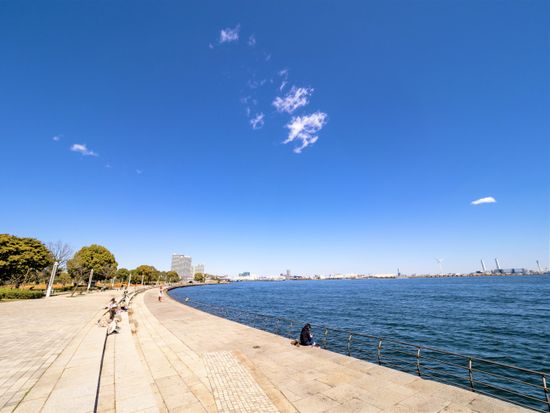 20210322070934_973164152_15223_0