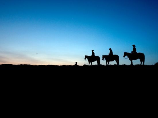 夜の乗馬体験 阿蘇ハイランド乗馬クラブ 星空の中を進む乙姫スターライトトレッキング＜30～40分／阿蘇市＞