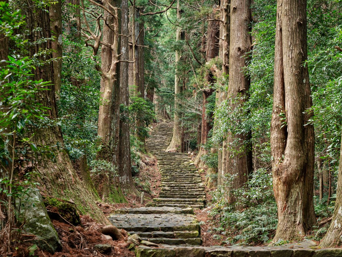 南紀・熊野古道 熊野古道｜和歌山南紀エリア観光情報