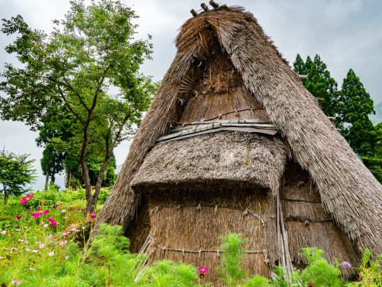 金沢発着日帰りバスツアー 白川郷＋五箇山 2つの世界遺産めぐる合掌造り周遊 山の幸満載の昼食＜月・火・金 催行／添乗員同行／1日＞