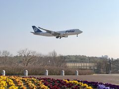 空の駅さくら館