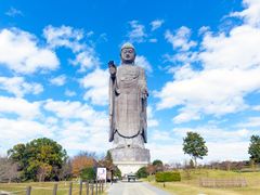 Japan_Ibaraki_牛久大仏_pixta_59827857_M