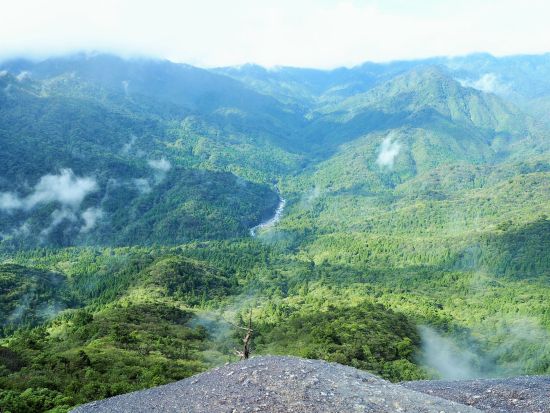 白谷雲水峡（太鼓岩まで）トレッキングツアー 午後の船や飛行機に間に合う早朝プランもあり 登山装備レンタル＆お弁当手配可能 by 屋久島ガイド21EC-K