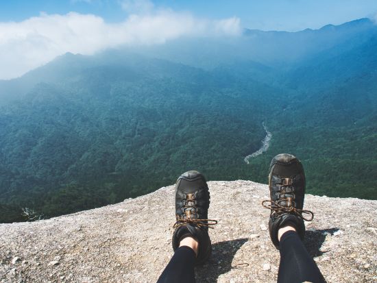 【屋久島】白谷雲水峡・太鼓岩1日トレッキング｜神秘の「苔むす森」と絶景の頂上へ｜早朝出発プランあり by 屋久島ガイドクラブ