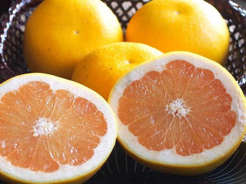販売終了 国産グレープフルーツ4kg 熊本県で施設栽培された希少なグレープフルーツを宮本さんの畑から直送 送料無料 日本野菜ソムリエ協会 熊本の観光 遊び 体験 レジャー専門予約サイト Veltra ベルトラ 販売終了 国産グレープフルーツ4kg 熊本県で施設栽培された希少なグレープフルーツを宮本さんの畑から直送 送料無料 日本野菜ソムリエ協会 熊本の観光 遊び 体験 レジャー専門予約サイト Veltra ベルトラ