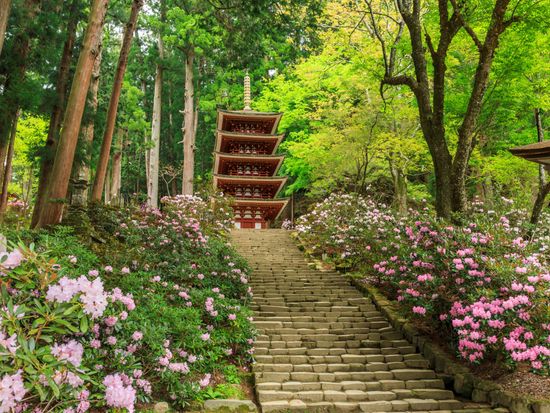 Japan_Nara_Murou-temple_PIXTA_39988892 (1)