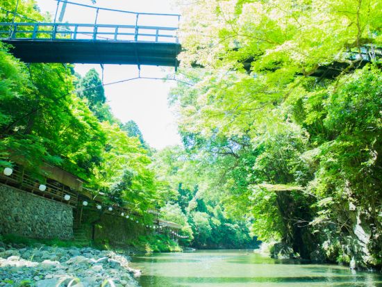 京都高雄 もみぢ家 川床ランチプラン 川のせせらぎに癒される川床料理（2026/6/1～2026/9/30）＜川床席確約／送迎あり／高雄＞