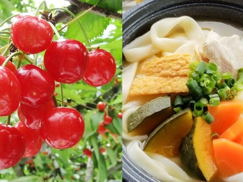 山梨日帰りバスツアー さくらんぼ狩り食べ放題 特製ほうとうランチ 各種ワイン試飲 絶景ネモフィラ鑑賞または御殿場プレミアム アウトレット 5 7月 新宿発着 東京の観光 遊び 体験 レジャー専門予約サイト Veltra ベルトラ 山梨日帰りバスツアー さくらんぼ狩り食べ放題 特製ほうとうランチ 各種ワイン試飲 絶景ネモフィラ鑑賞または御殿場プレミアム アウトレット 5 7月 新宿発着 東京の観光 遊び 体験 レジャー専門予約サイト Veltra ベルトラ