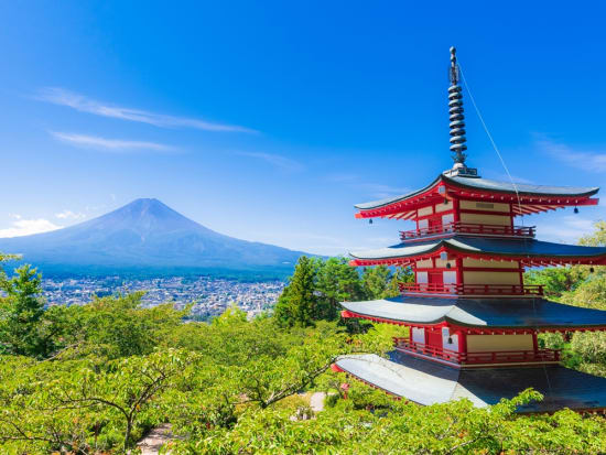 東京都内発着 都内近郊在住者にオススメ 日帰りで山梨観光 山梨の観光 遊び 体験 レジャー専門予約サイト Veltra ベルトラ