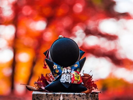 飛騨高山インスタ映えツアー　地元ガイドが定番スポットから隠れ映えスポットまでご案内＜午前・午後／高山＞by ハッピープラス