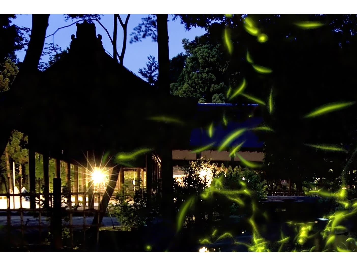 上賀茂神社 夜の特別参拝とほたる観賞 白河御膳の夕食付き 21 6 11 6 限定 京都駅発 By 京都定期観光バス 京都の観光 遊び 体験 レジャー専門予約サイト Veltra ベルトラ