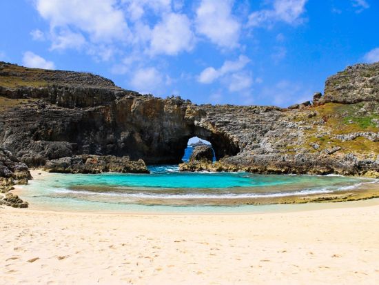 体験ダイビング1日コース　ドルフィンスイム＋季節限定ホエールウォッチング シュノーケリングも可能＜ボート／1～2ダイブ／送迎付き／小笠原諸島・父島発＞