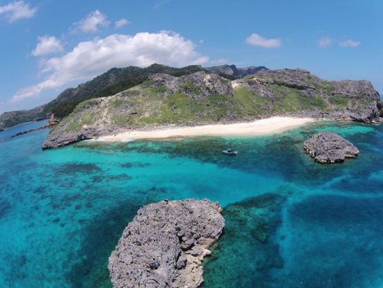 体験ダイビング 世界遺産の海で少人数制ダイビング！動画＆水中写真プレゼント付き＜半日／ボート／1ダイブ／小笠原諸島・父島発＞by NativeColor