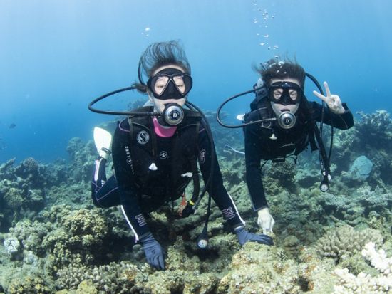 体験ダイビング 世界遺産の海で少人数制ダイビング！動画＆水中写真プレゼント付き＜半日／ボート／1ダイブ／小笠原諸島・父島発＞by NativeColor