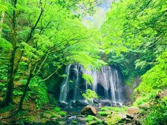 いなわしろ4