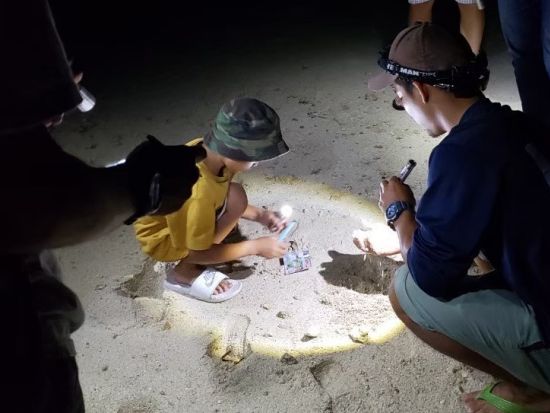 生き物探しナイトツアー　夜の海やビーチで沖縄の生き物たちを探して探検！＜読谷村／当日12時まで予約可＞