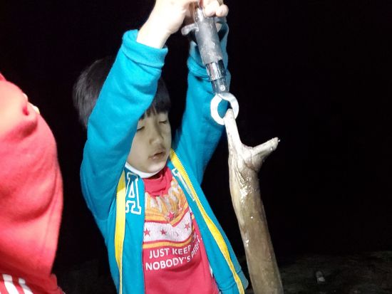 ★１組貸し切り★　珍獣ハンティングツアー　マングースやハブ、大ウナギなど沖縄の珍しい生き物を捕獲！＜貸切／北谷・嘉手納・読谷・恩納村エリア送迎無料／読谷村＞