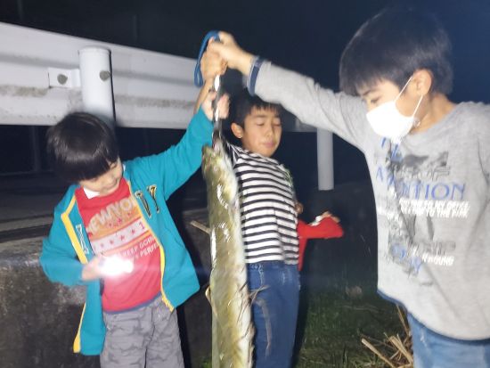 ★１組貸し切り★　珍獣ハンティングツアー　マングースやハブ、大ウナギなど沖縄の珍しい生き物を捕獲！＜貸切／北谷・嘉手納・読谷・恩納村エリア送迎無料／読谷村＞