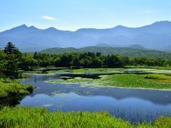 pixta_56056186_M
